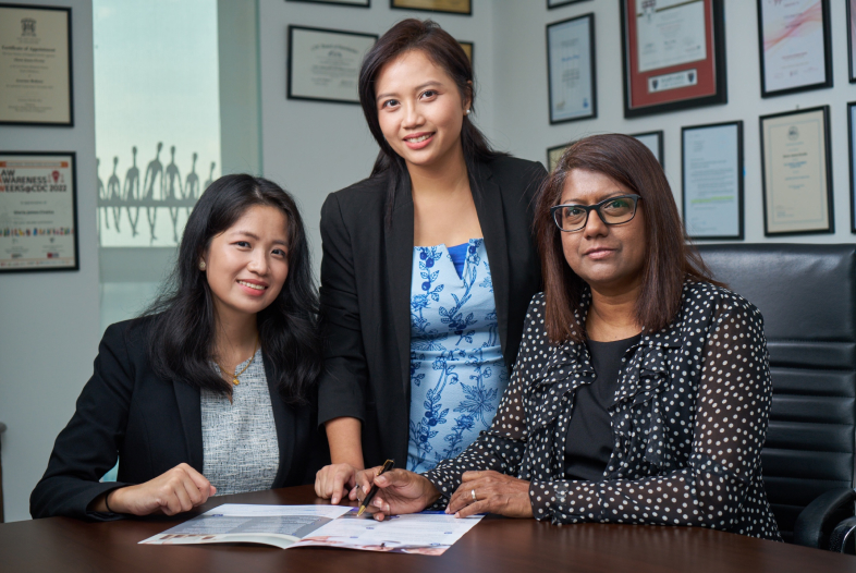 sdl-team-strengths-capabilities
